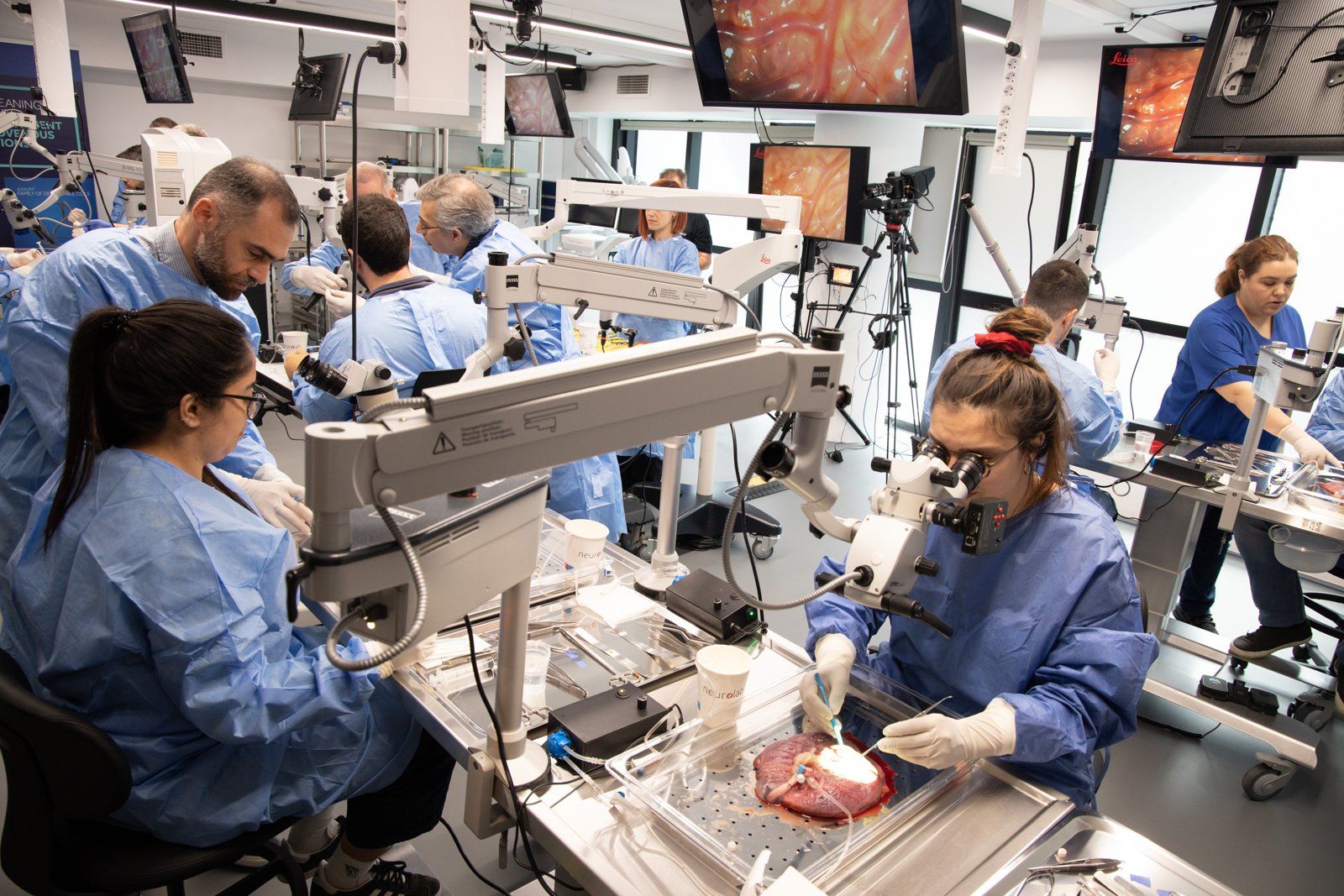 3rd Athens Cerebral Vascular and Endovascular Hands-on Course – event photo