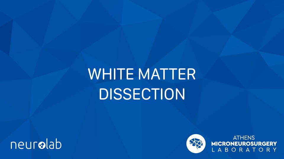 Athens White Matter Dissection and Neurosurgical Anatomy courses – event photo