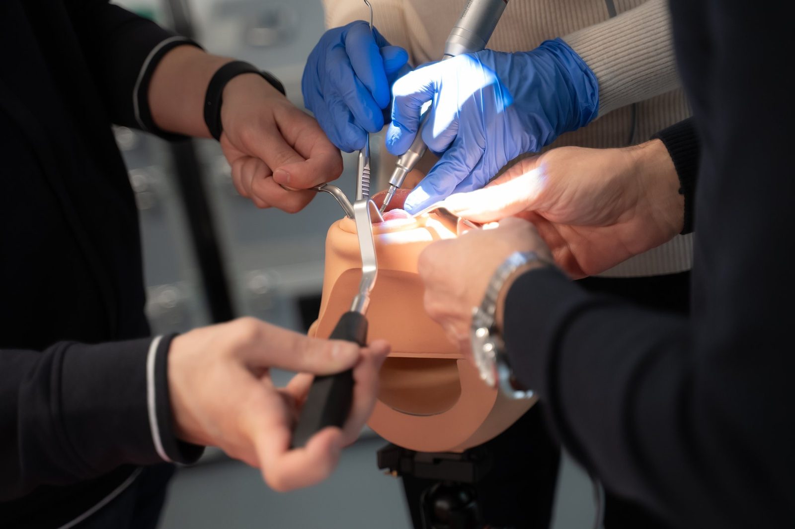 Hands-on work on a phantom model
