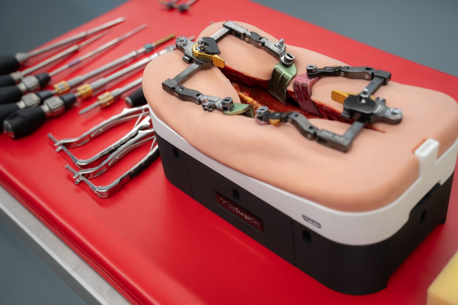 Spine model and instruments at a station