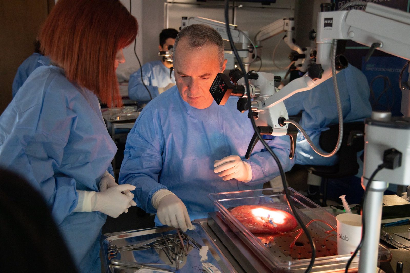 Faculty member at a microscope station