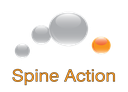 Spine Action Ltd.